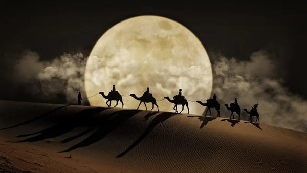 Touteladeco / Tableau Art / Paysage / Desert / Chameau / Nuit / Décoration Murale / Décoration de maison / Moderne