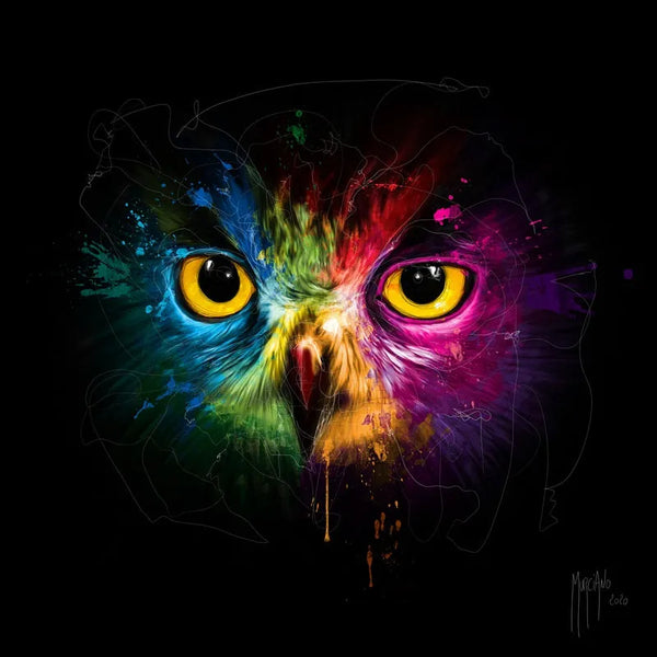 Toile / Tableau / touteladeco / Patrice Murciano / tableau hibou pop art / visage de hibou coloré / regard perçant d’oiseau / art animalier moderne / peinture éclaboussée multicolore / fond noir artistique / décoration murale vibrante / hibou stylisé en couleurs / impression sur toile / déco contemporaine et expressive