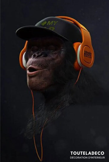 Singe Casque
